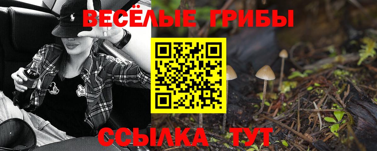 Славгород  Псилоцибиновые грибы мицелий  Вход с VPN 